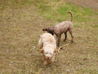 2009-10-03_ntb_0010