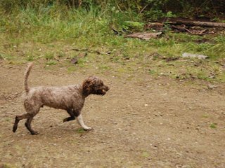 2009-10-03_ntb_0011