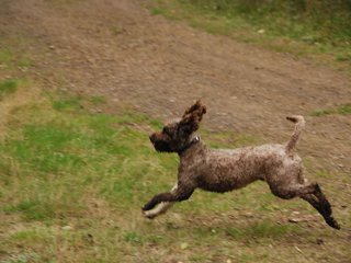 2009-10-03_ntb_0012