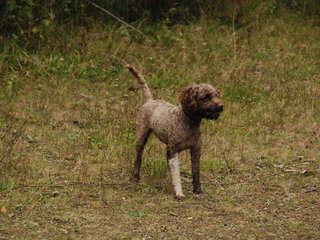 2009-10-03_ntb_0013