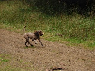 2009-10-03_ntb_0014
