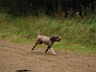 2009-10-03_ntb_0015