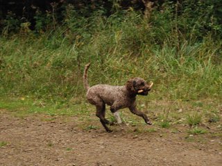 2009-10-03_ntb_0016