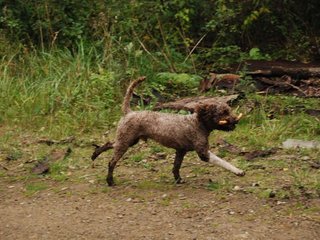 2009-10-03_ntb_0017
