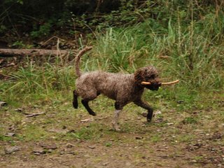 2009-10-03_ntb_0018