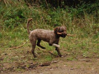 2009-10-03_ntb_0019