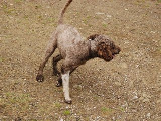 2009-10-03_ntb_0020