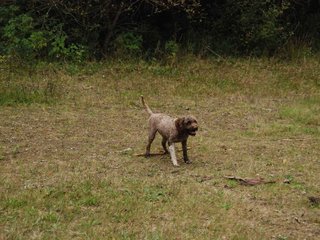 2009-10-03_ntb_0021