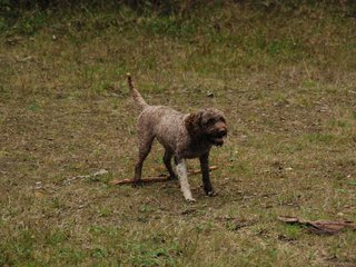 2009-10-03_ntb_0022