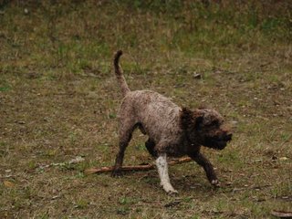 2009-10-03_ntb_0023