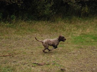2009-10-03_ntb_0024