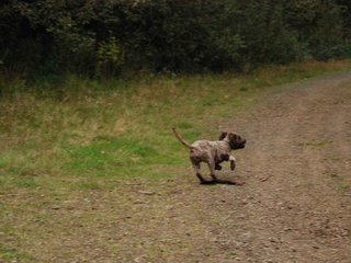 2009-10-03_ntb_0025