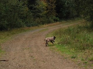 2009-10-03_ntb_0026