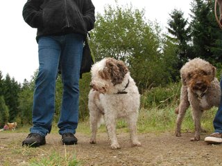 2009-10-03_ntb_9936