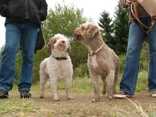 2009-10-03_ntb_9937