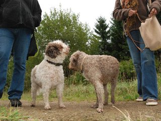 2009-10-03_ntb_9938