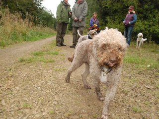 2009-10-03_ntb_9939