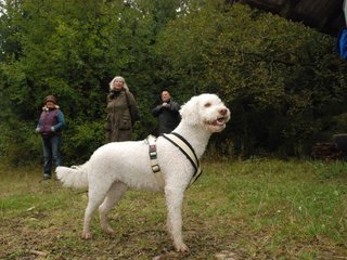 2009-10-03_ntb_9940