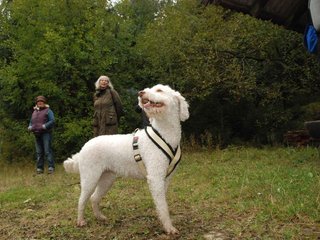 2009-10-03_ntb_9941