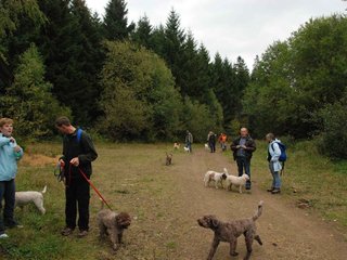 2009-10-03_ntb_9943