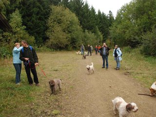 2009-10-03_ntb_9944