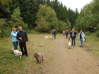 2009-10-03_ntb_9945