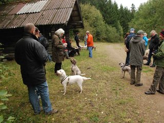 2009-10-03_ntb_9954