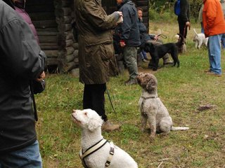 2009-10-03_ntb_9955