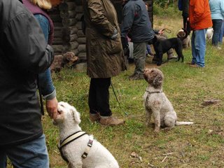 2009-10-03_ntb_9956