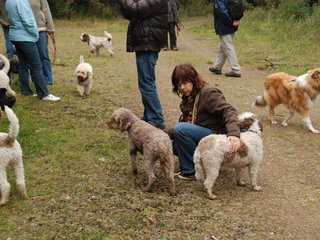 2009-10-03_ntb_9961