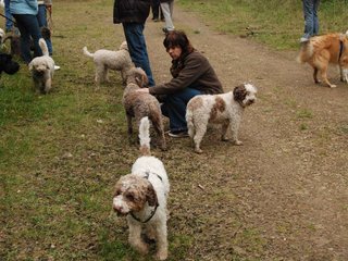 2009-10-03_ntb_9964