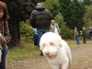 2009-10-03_ntb_9965