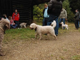 2009-10-03_ntb_9967