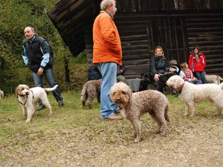 2009-10-03_ntb_9968