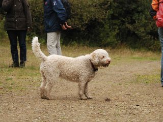 2009-10-03_ntb_9969