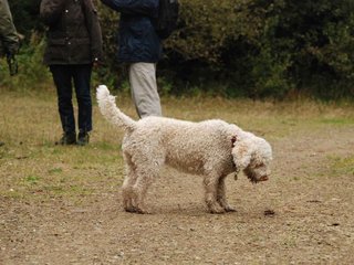 2009-10-03_ntb_9970