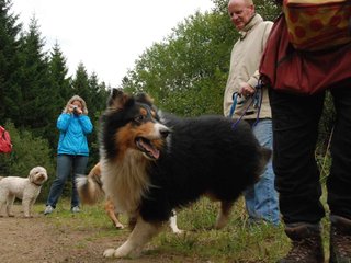 2009-10-03_ntb_9973