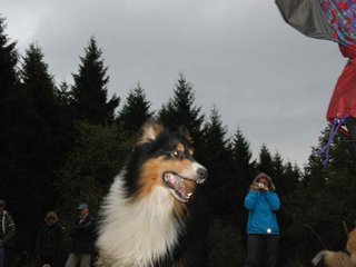 2009-10-03_ntb_9974