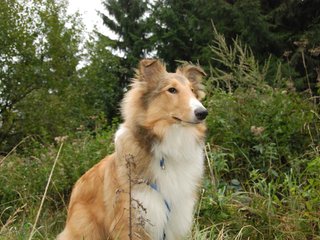 2009-10-03_ntb_9976