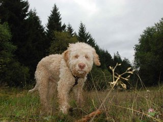 2009-10-03_ntb_9977