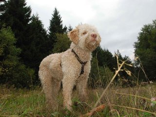 2009-10-03_ntb_9978