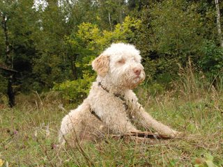 2009-10-03_ntb_9981