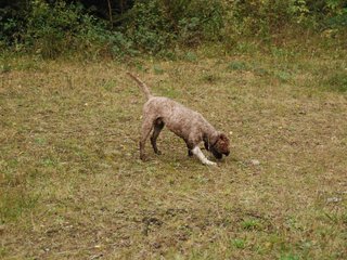 2009-10-03_ntb_9984