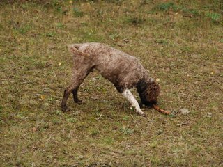 2009-10-03_ntb_9985