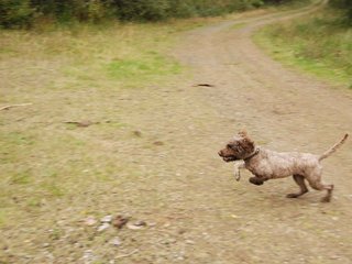 2009-10-03_ntb_9986