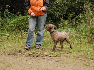 2009-10-03_ntb_9987
