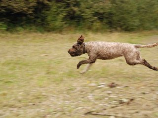 2009-10-03_ntb_9988