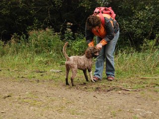 2009-10-03_ntb_9989