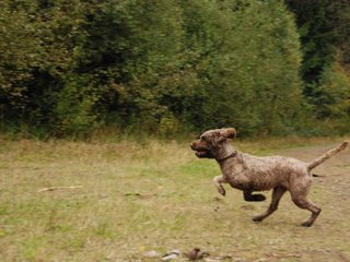 2009-10-03_ntb_9990