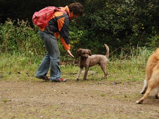 2009-10-03_ntb_9994